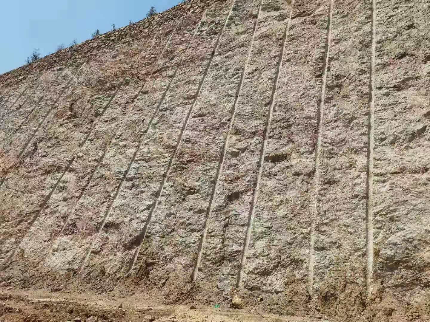 春暉